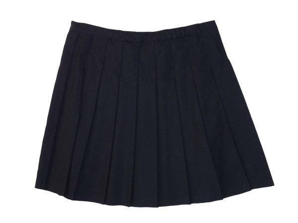 Navy Stitch-Down skirt rear view